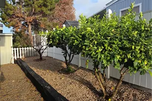 330 W Hwy 246, Buellton, CA 93427 - Photo 5