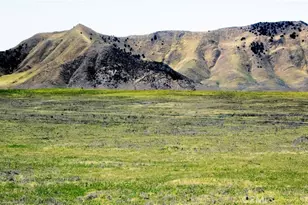 1355 Glassrock Rd, Santa Margarita, CA 93453 - Photo 1