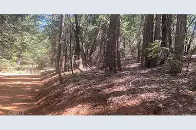 15052 Red Hill Spring Road, Nevada City, CA 95959 - Photo 3