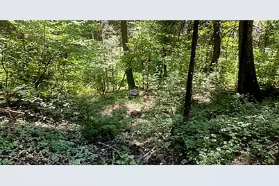 15052 Red Hill Spring Road, Nevada City, CA 95959 - Photo 5