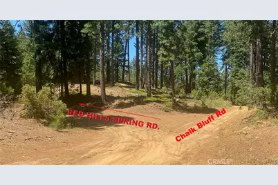 15052 Red Hill Spring Road, Nevada City, CA 95959 - Photo 7