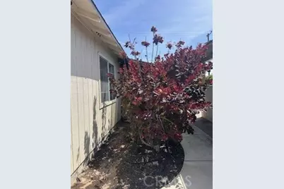 785 Miles, Santa Maria, CA 93455 - Photo 39