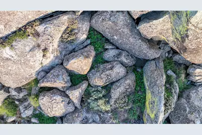 26820 Stirrup, Tehachapi, CA 93561 - Photo 47