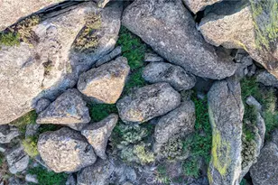 26820 Stirrup, Tehachapi, CA 93561 - Photo 47