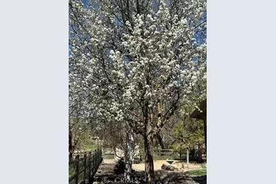 30081 Jamaica Dunes Drive, Tehachapi, CA 93561 - Photo 7