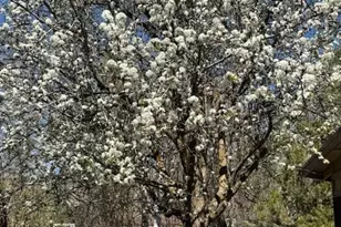 30081 Jamaica Dunes Dr, Tehachapi, CA 93561 - Photo 7