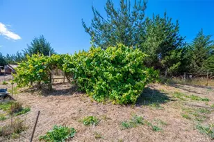 1144 Arboles Way, Arroyo Grande, CA 93420 - Photo 23