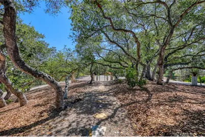 960 Buck Ridge Lane, Arroyo Grande, CA 93420 - Photo 35