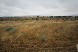 205 Castro Canyon Rd, Cuyama, CA 93252 - Photo 11