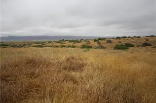 205 Castro Canyon Rd, Cuyama, CA 93252 - Photo 9