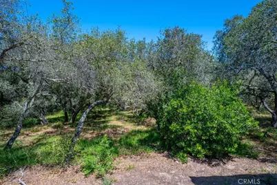 1382 Tourney Hill Lane, Nipomo, CA 93444 - Photo 27