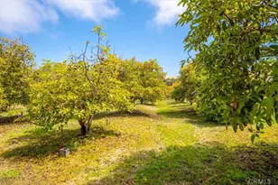 1301 Little Morro Creek Rd, Morro Bay, CA 93442 - Photo 65