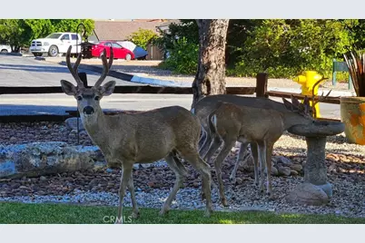 1695 Southfork, Paso Robles, CA 93446 - Photo 67