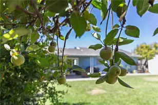 564 Stansbury, Santa Maria, CA 93455 - Photo 41