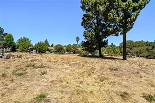 351 Pablo Ln, Nipomo, CA 93444 - Photo 49