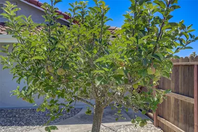 4580 Harmony, Santa Maria, CA 93455 - Photo 55