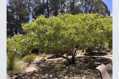1007 Maggie Lane, Nipomo, CA 93444 - Photo 3