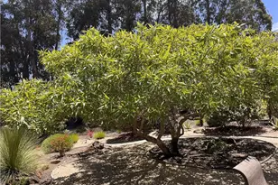 1007 Maggie Ln, Nipomo, CA 93444 - Photo 3