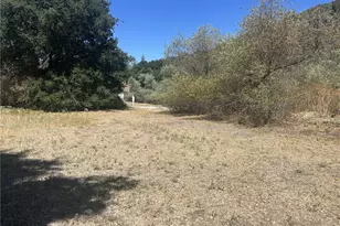6395 Parkhill Rd, Santa Margarita, CA 93453 - Photo 61