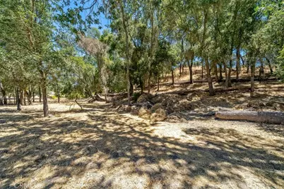 1457 Brambles Court, Templeton, CA 93465 - Photo 51
