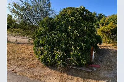5430 Fa-Rousse, Paso Robles, CA 93446 - Photo 31