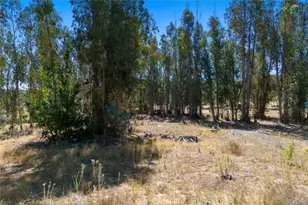 1831 Viejo Rd, Arroyo Grande, CA 93420 - Photo 39
