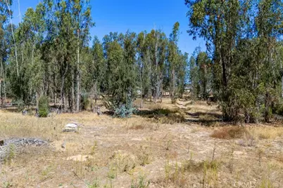 1831 Viejo Road, Arroyo Grande, CA 93420 - Photo 41