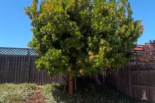 1037 Shultz, Santa Maria, CA 93455 - Photo 29