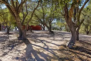 169 Cimarron, Arroyo Grande, CA 93420 - Photo 45