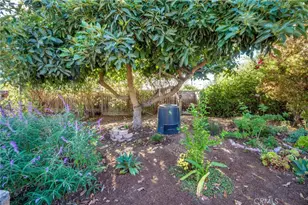 864 Willow Ln, Arroyo Grande, CA 93420 - Photo 31