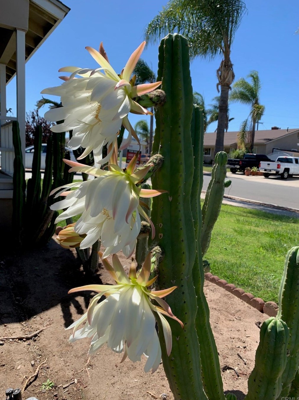 861 Date Ave, Chula Vista CA  91911-1110 exterior