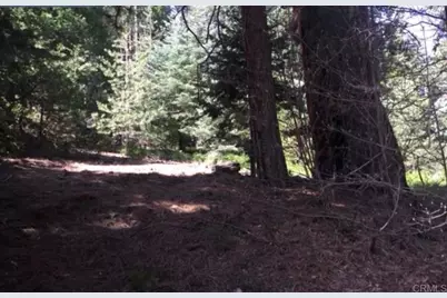  Stonehill Drive, Cedar Glen, CA 92385 - Photo 3