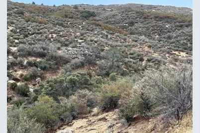 59775 Moonshine Trail, Anza, CA 92539 - Photo 15