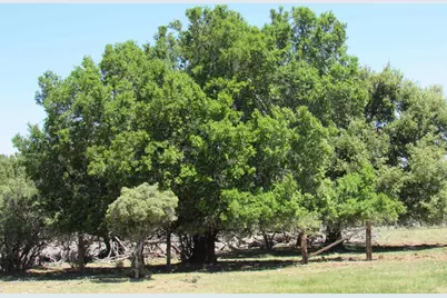 200 Acres McCain Valley Rd, Boulevard, CA 91905 - Photo 3