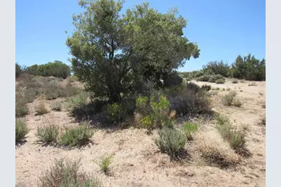 200 Acres McCain Valley Rd, Boulevard, CA 91905 - Photo 15