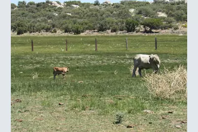 200 Acres McCain Valley Rd, Boulevard, CA 91905 - Photo 47