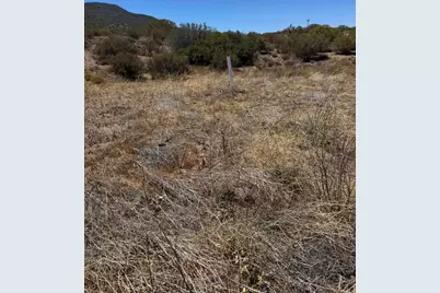 46400 Terwilliger Road, Anza, CA 92539 - Photo 7