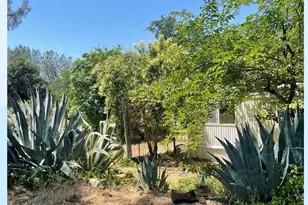 17776 Red Bud Ln, Shasta Lake, CA 96019 - Photo 5