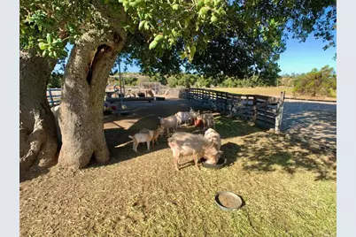 38058 Highway 94, Boulevard, CA 91905 - Photo 39