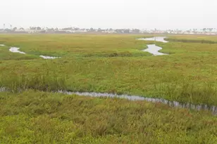 1460 Seacoast, Imperial Beach, CA 91932 - Photo 11