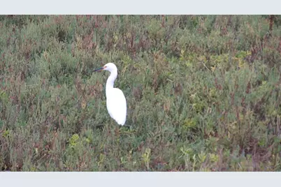 1460 Seacoast #9, Imperial Beach, CA 91932 - Photo 11