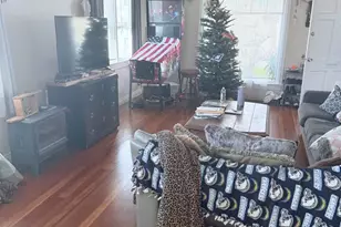 157 Maple Ave, Carlsbad, CA 92008 - Photo 23