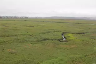 1365 Seacoast Dr, Imperial Beach, CA 91932 - Photo 13