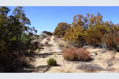 37245 Old Forest Road, Anza, CA 92539 - Photo 17