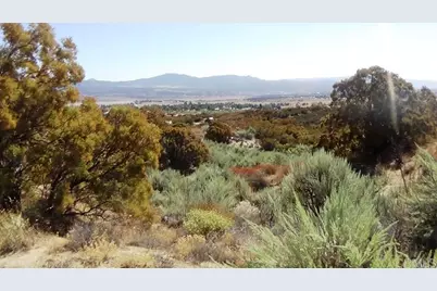 37245 Old Forest Road, Anza, CA 92539 - Photo 19