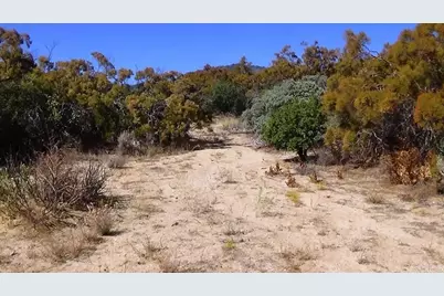 37245 Old Forest Road, Anza, CA 92539 - Photo 39