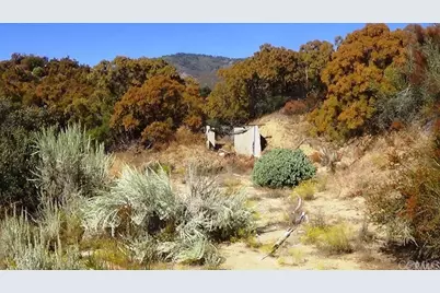 37245 Old Forest Road, Anza, CA 92539 - Photo 29