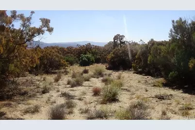 37245 Old Forest Road, Anza, CA 92539 - Photo 7