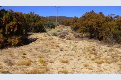 37245 Old Forest Road, Anza, CA 92539 - Photo 41