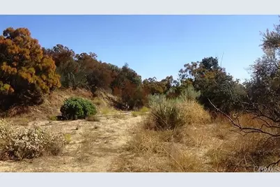 37245 Old Forest Road, Anza, CA 92539 - Photo 31